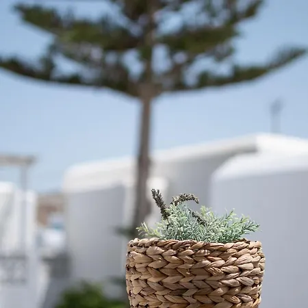 Twins-trisa Отель для свиданий *