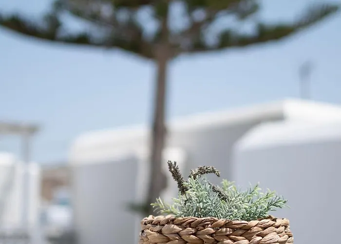 Twins-trisa Liefdeshotel *